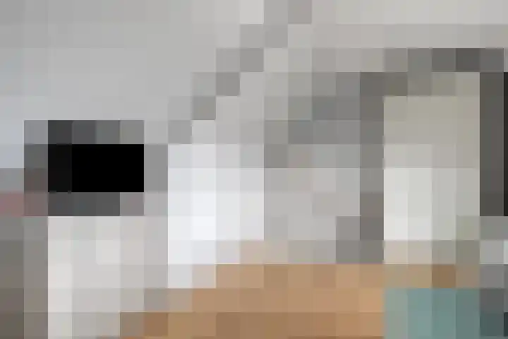 Dokter Vermetstraat 23 Nieuw-Vossemeer thumbnail 27