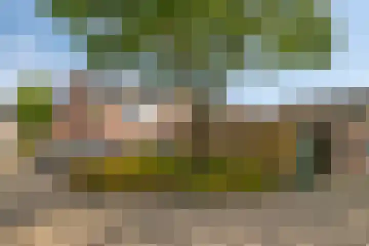 Dokter Vermetstraat 23 Nieuw-Vossemeer thumbnail 37