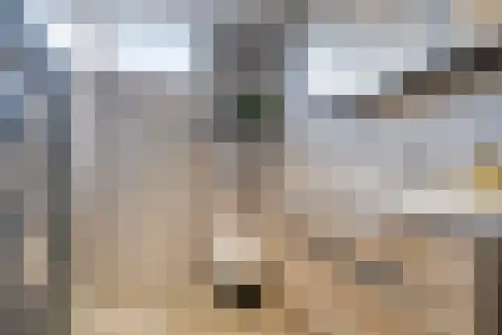 Dokter Vermetstraat 23 Nieuw-Vossemeer thumbnail 4
