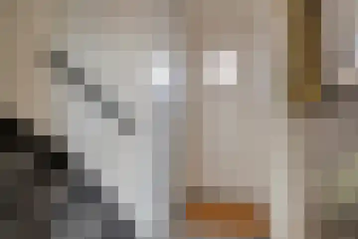 Dokter Vermetstraat 23 Nieuw-Vossemeer thumbnail 7