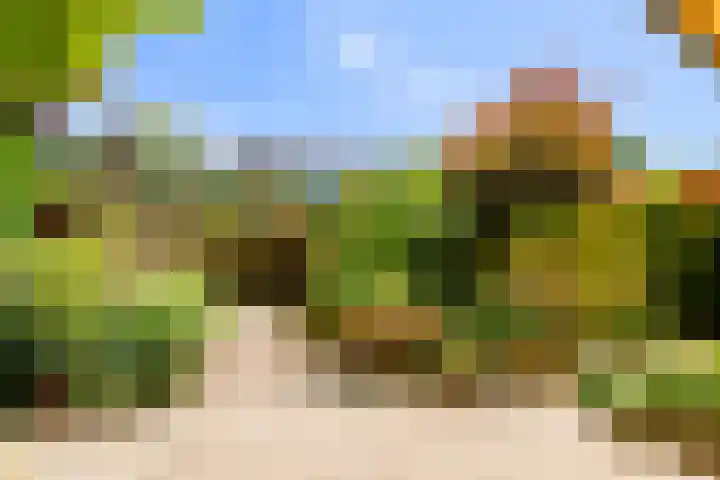 Dokter W Nijestraat 64 Spaarndam thumbnail 30