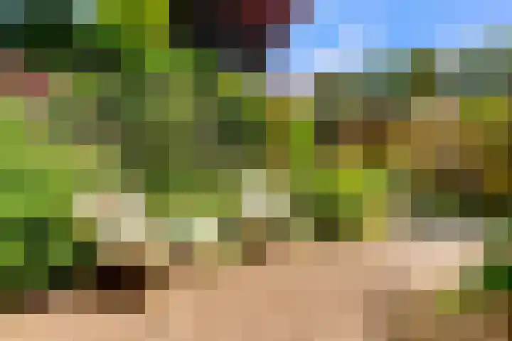 Dokter W Nijestraat 64 Spaarndam thumbnail 33
