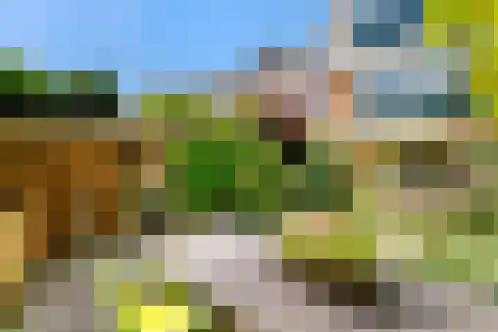 Dokter W Nijestraat 64 Spaarndam thumbnail 35