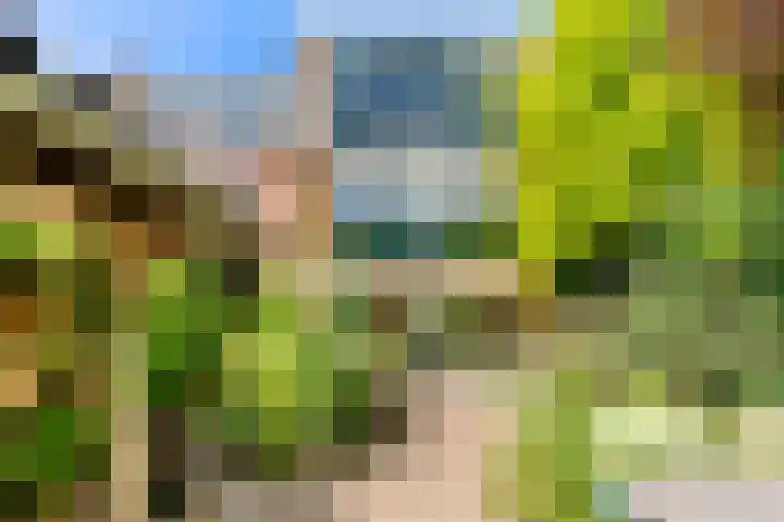 Dokter W Nijestraat 64 Spaarndam thumbnail 36