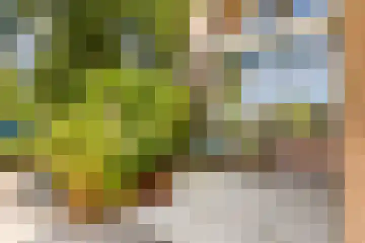 Dokter W Nijestraat 64 Spaarndam thumbnail 4
