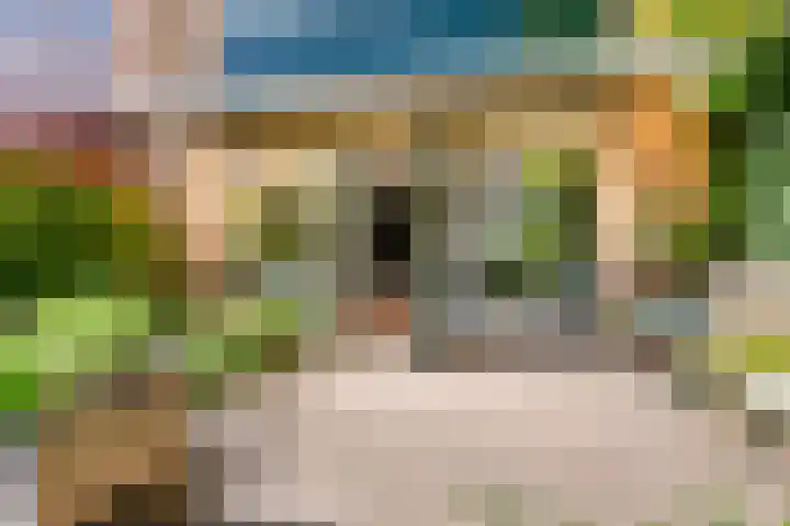 Dokter W Nijestraat 64 Spaarndam thumbnail 40