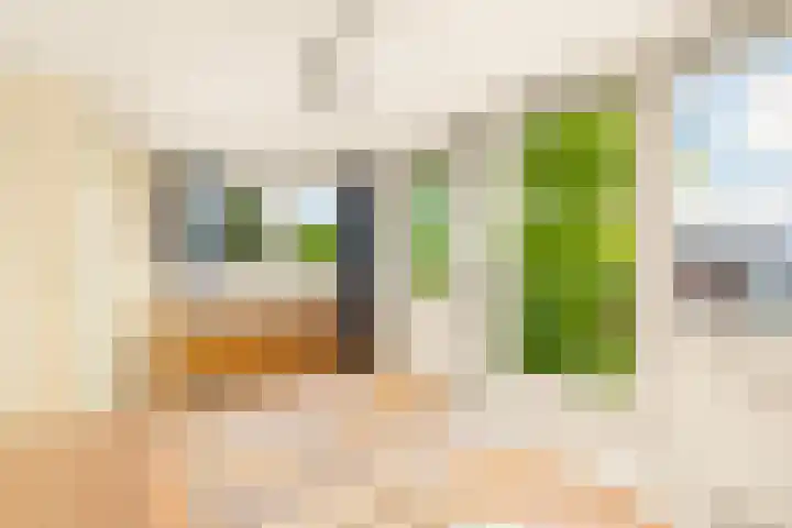 Dokter W Nijestraat 64 Spaarndam thumbnail 61