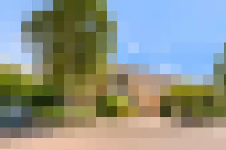 Dokter W Nijestraat 64 Spaarndam thumbnail 74