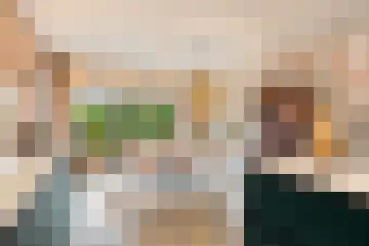 Dokter W Nijestraat 66 Spaarndam thumbnail 23