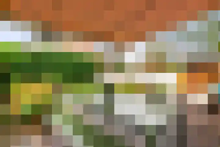 Dokter W Nijestraat 66 Spaarndam thumbnail 27