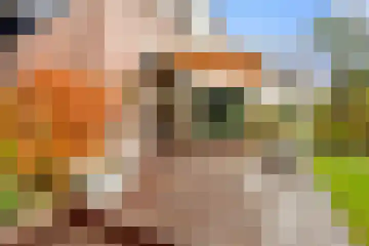 Dokter W Nijestraat 66 Spaarndam thumbnail 33