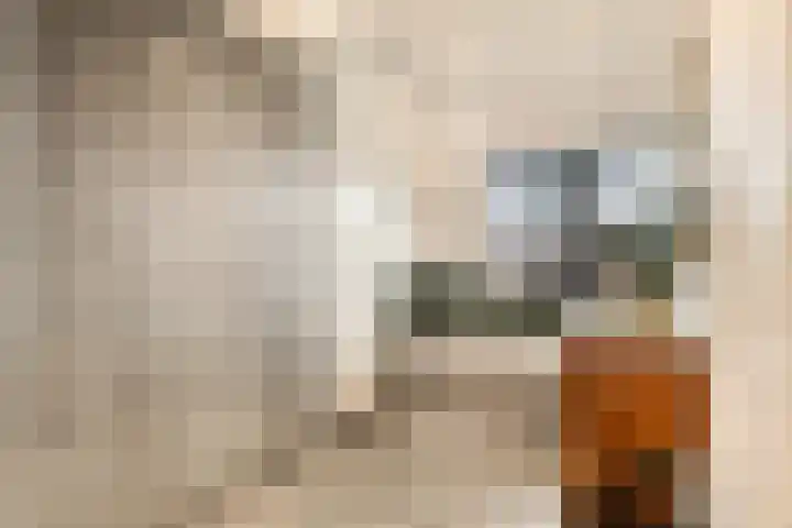Dokter W Nijestraat 66 Spaarndam thumbnail 52