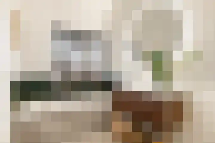 Dokter W Nijestraat 66 Spaarndam thumbnail 53