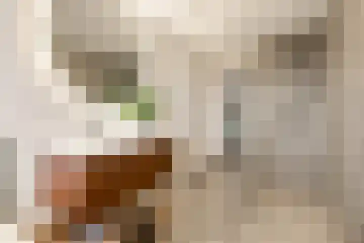 Dokter W Nijestraat 66 Spaarndam thumbnail 56