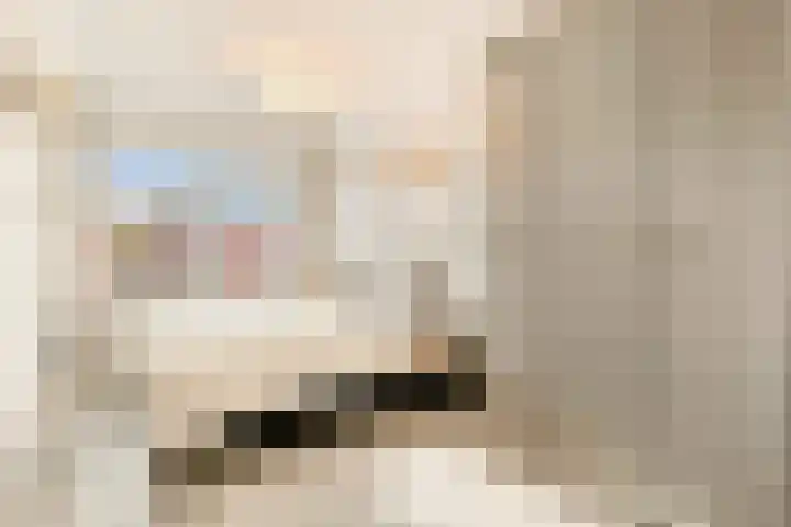 Dokter W Nijestraat 66 Spaarndam thumbnail 58