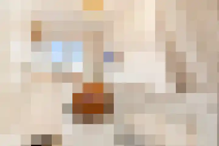 Dokter W Nijestraat 66 Spaarndam thumbnail 61