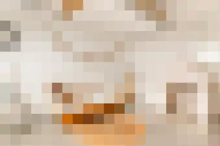 Dokter W Nijestraat 66 Spaarndam thumbnail 73
