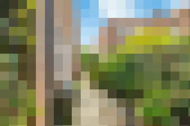 Dokter W Nijestraat 91 Spaarndam thumbnail 30