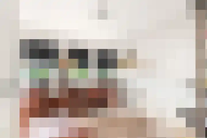 Dokter W Nijestraat 91 Spaarndam thumbnail 34