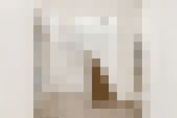 Dokter W Nijestraat 91 Spaarndam thumbnail 5