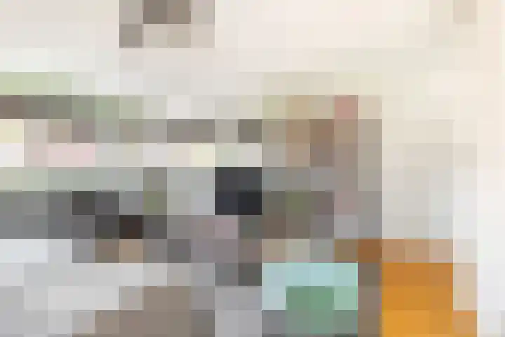 Dokter W Nijestraat 91 Spaarndam thumbnail 51