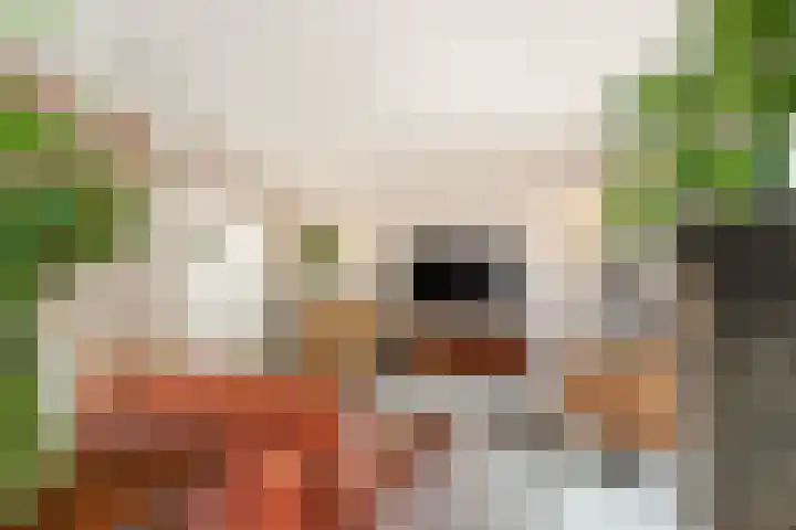 Dokter W Nijestraat 91 Spaarndam thumbnail 9