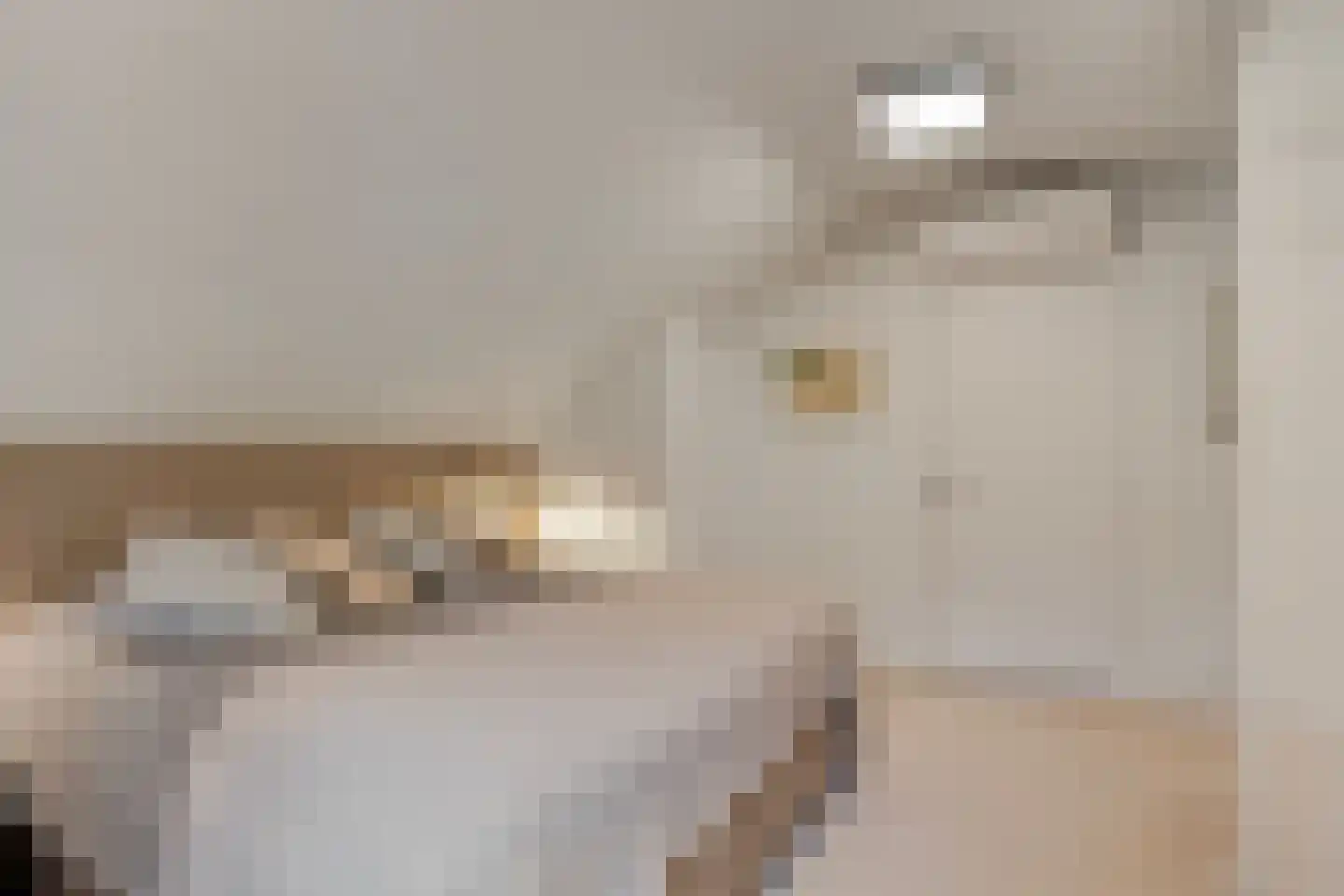 Dokter Wachterslaan 6 Waalre thumbnail 31