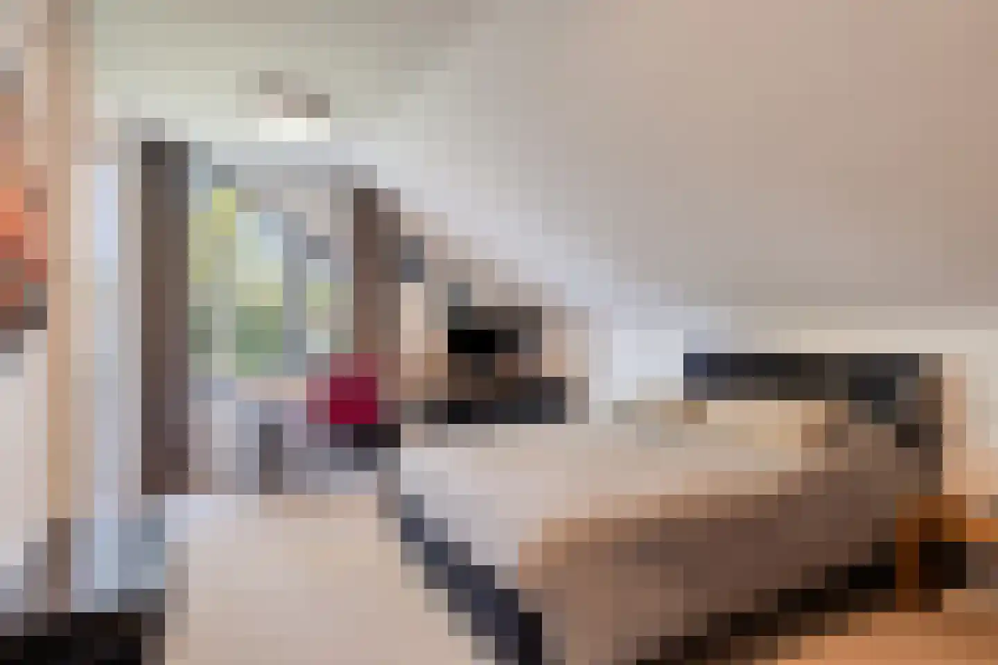 Dokter Wachterslaan 6 Waalre thumbnail 34