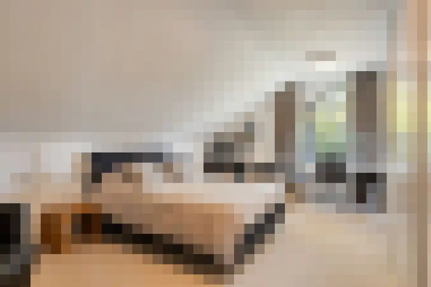 Dokter Wachterslaan 6 Waalre thumbnail 35