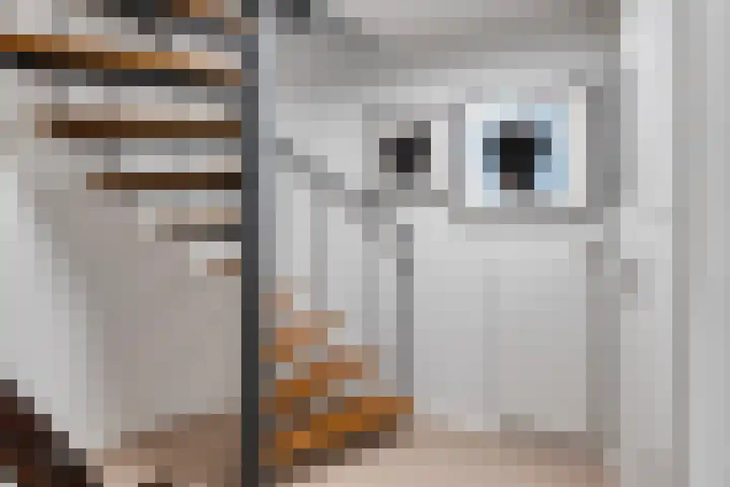 Dokter Wachterslaan 6 Waalre thumbnail 38