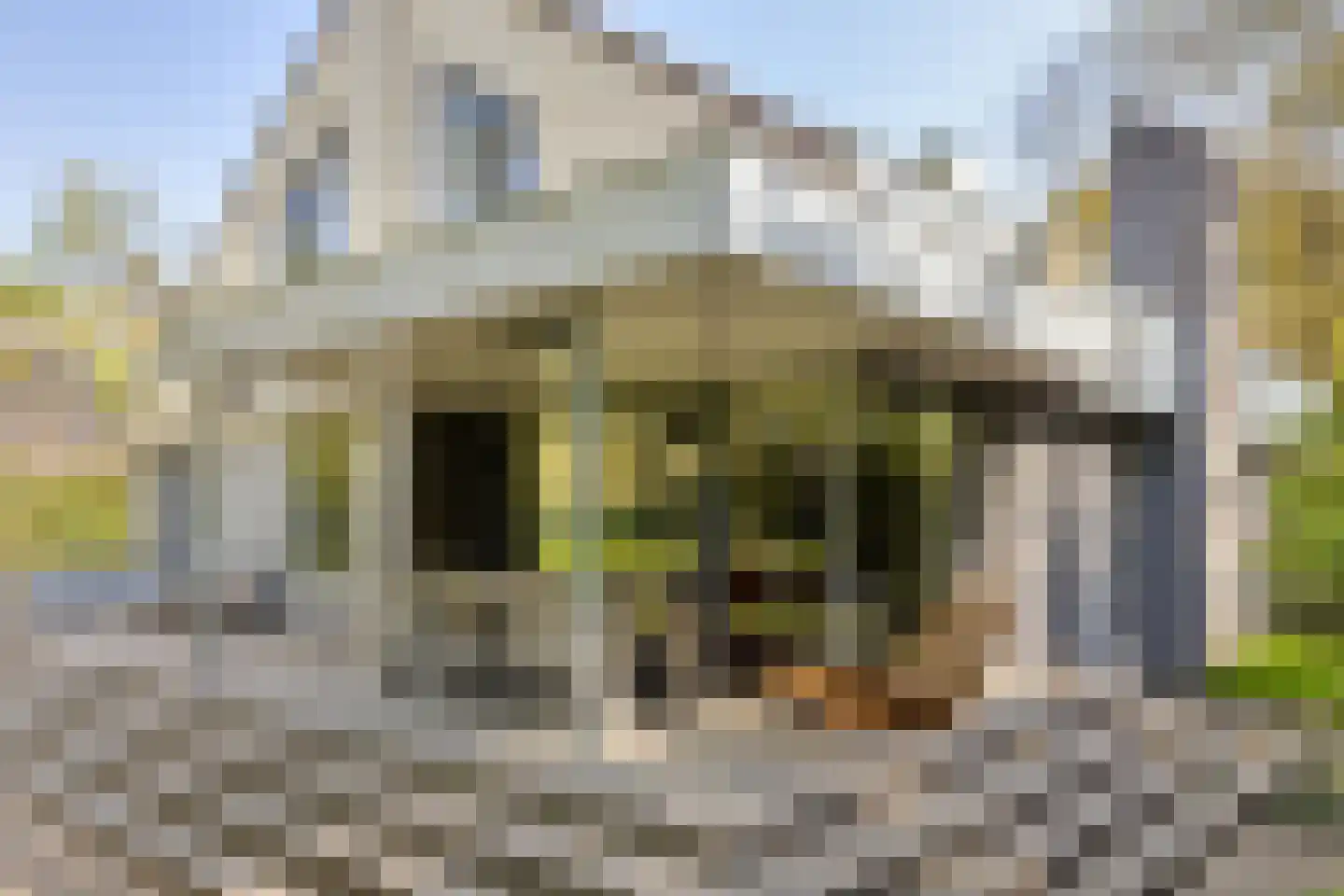 Dokter Wachterslaan 6 Waalre thumbnail 45
