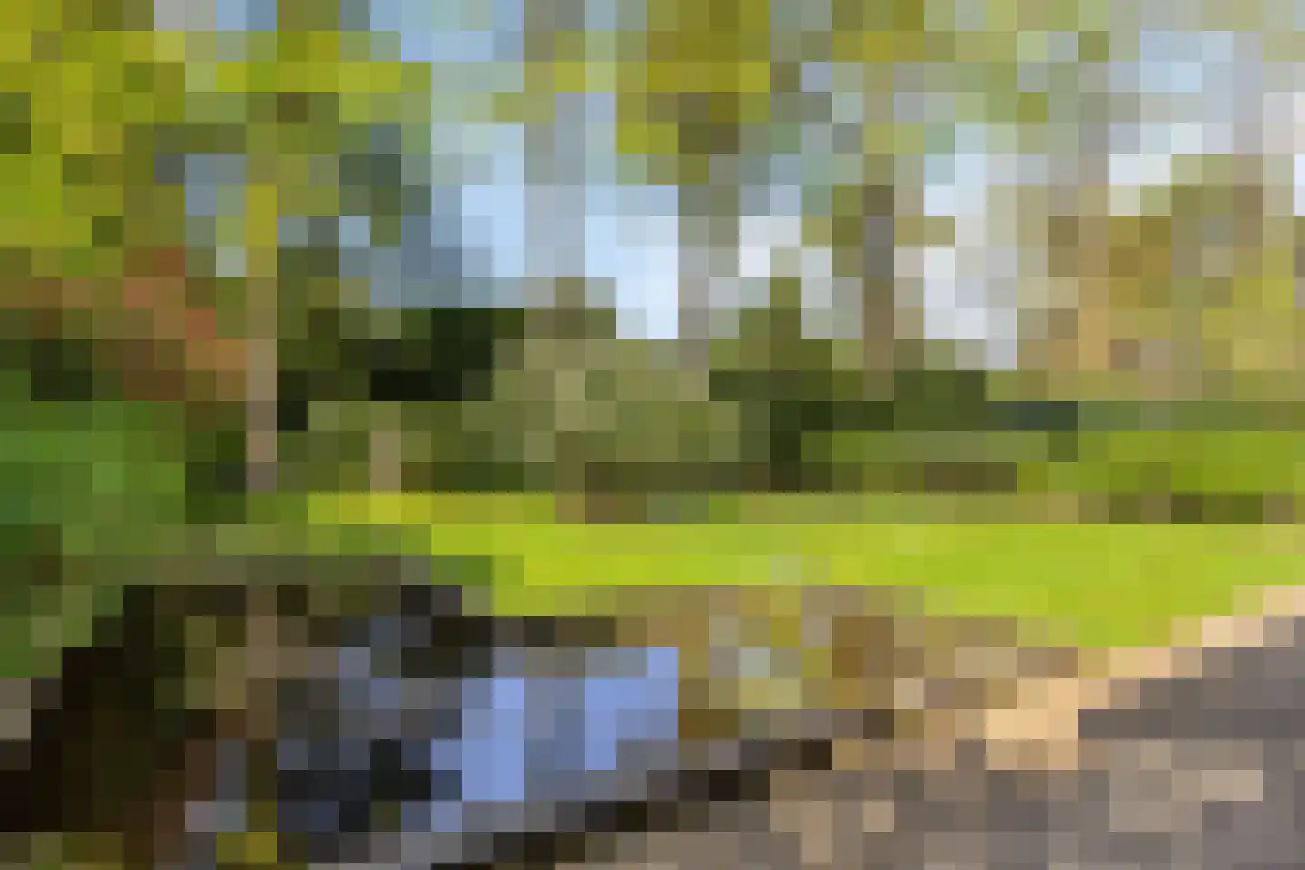 Dokter Wachterslaan 6 Waalre thumbnail 49