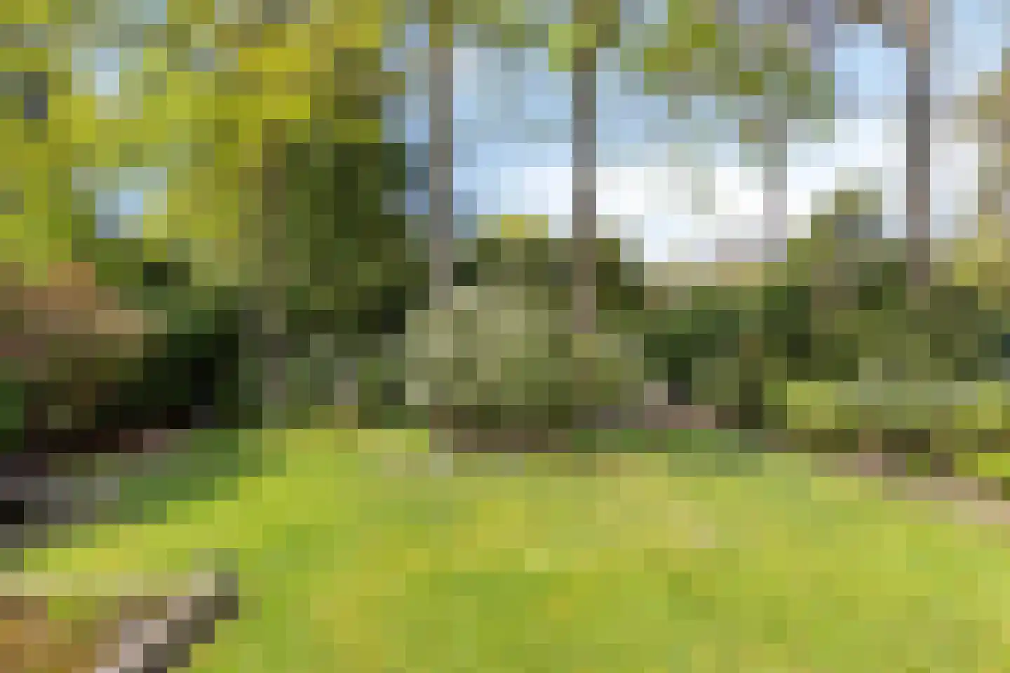 Dokter Wachterslaan 6 Waalre thumbnail 51