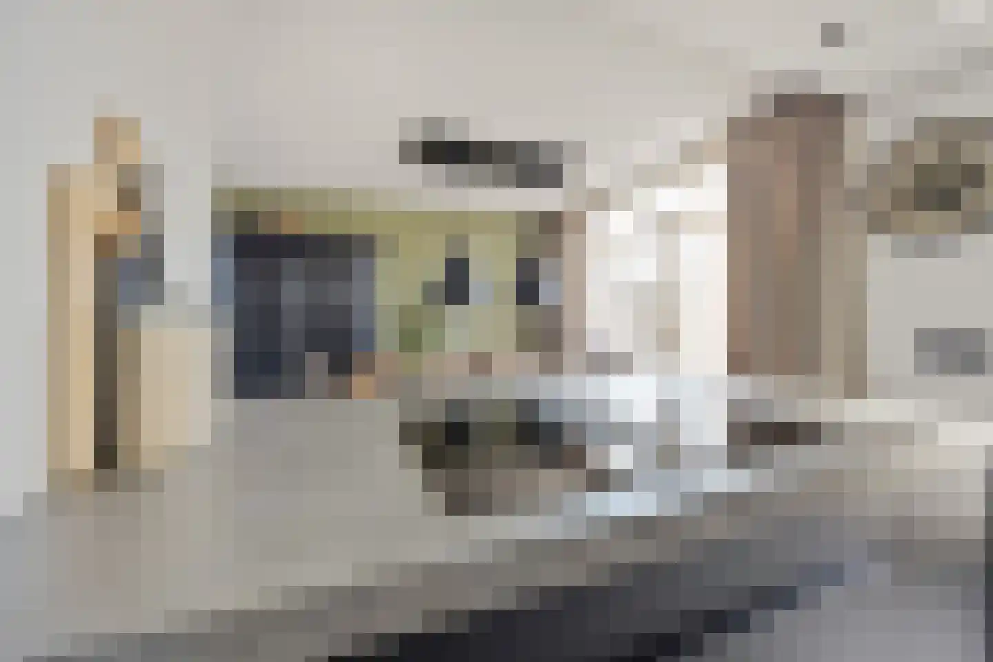 Dokter Wasmannstraat 8 Druten thumbnail 15