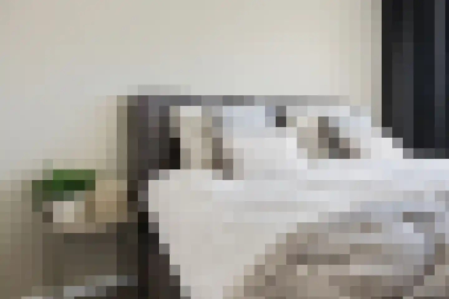 Dokter Wasmannstraat 8 Druten thumbnail 22