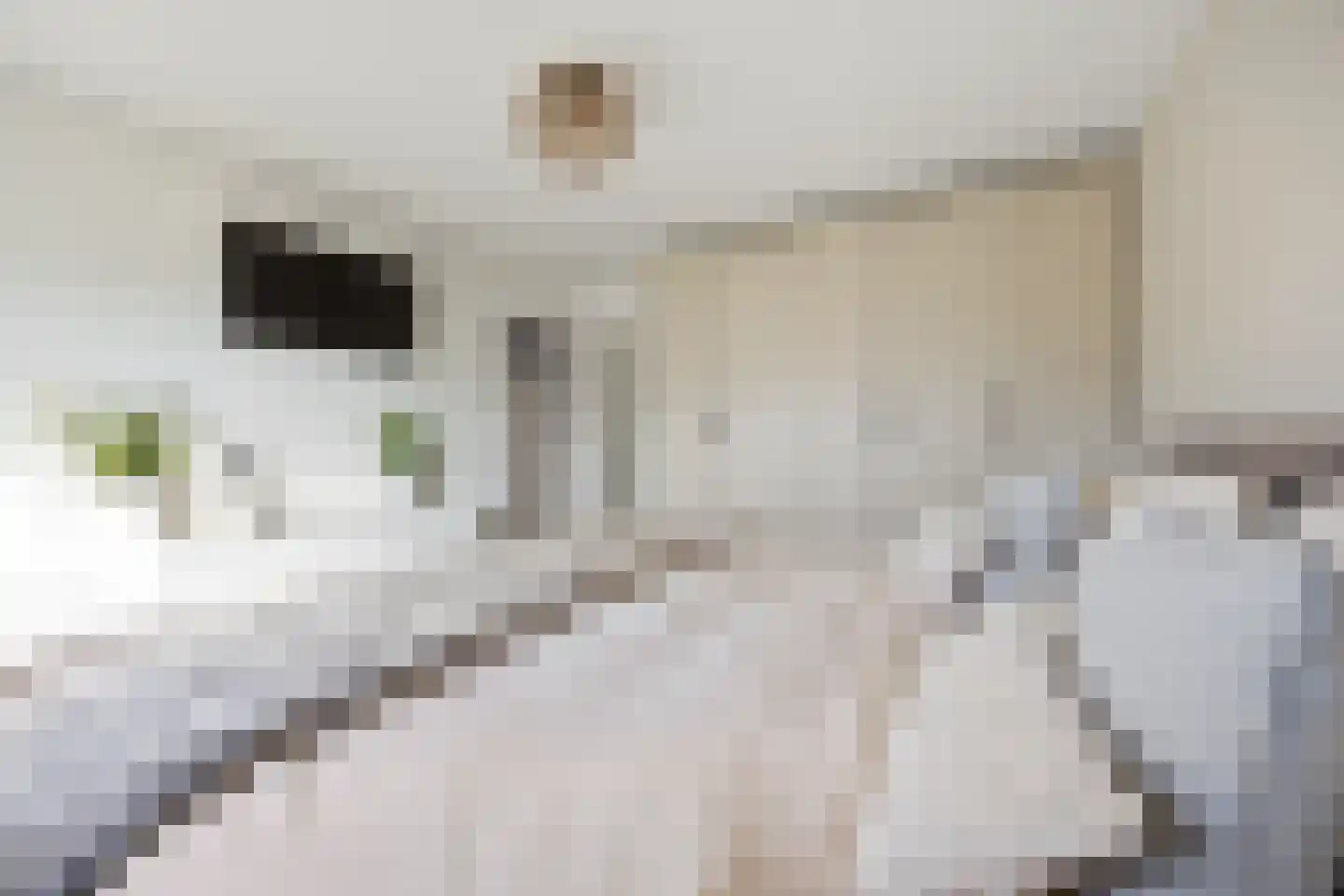 Dokter Wasmannstraat 8 Druten thumbnail 23