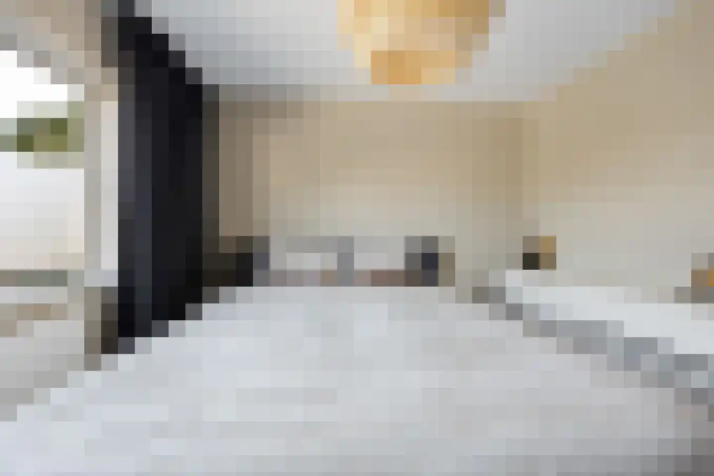 Dokter Wasmannstraat 8 Druten thumbnail 25