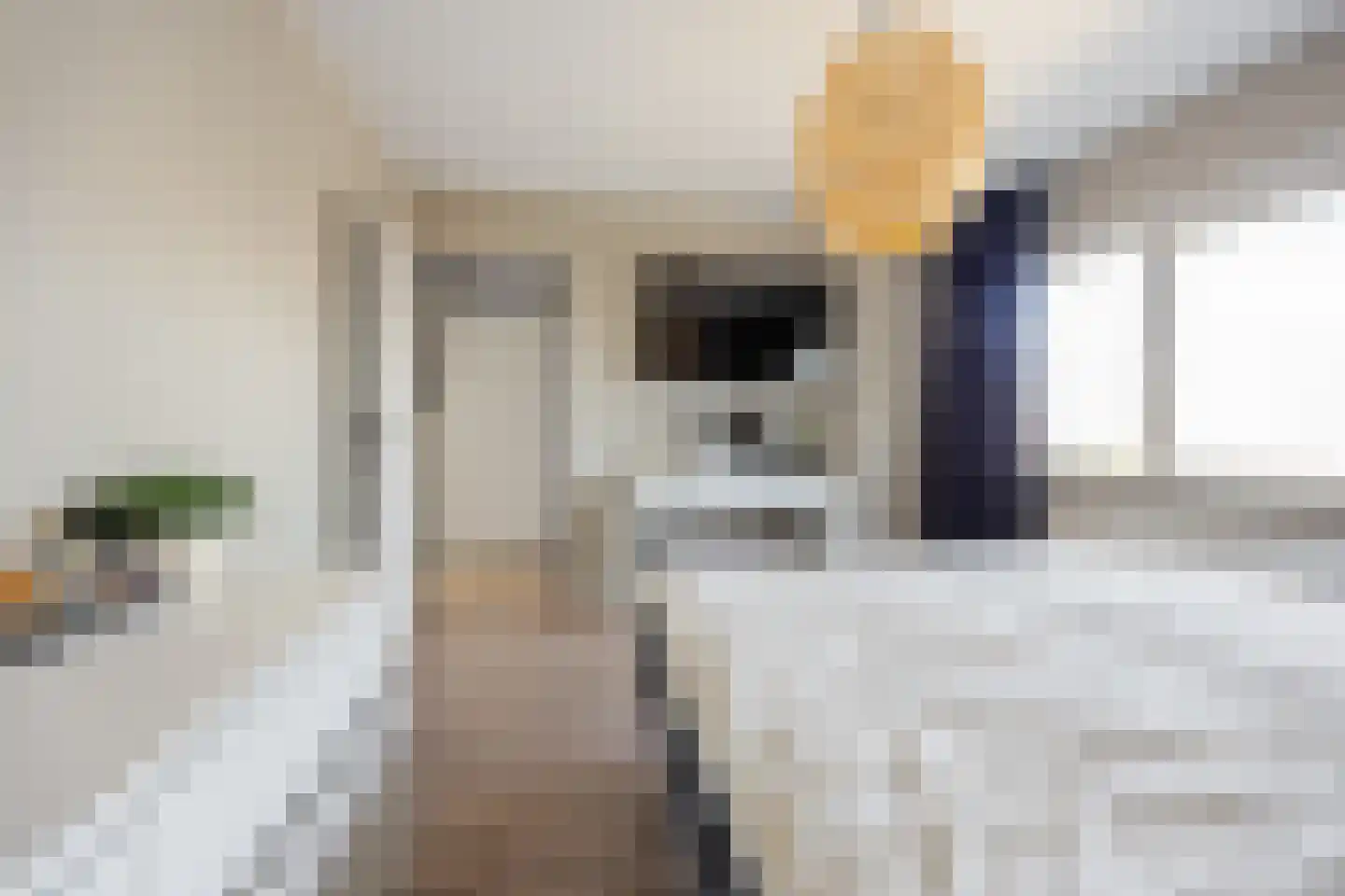 Dokter Wasmannstraat 8 Druten thumbnail 26