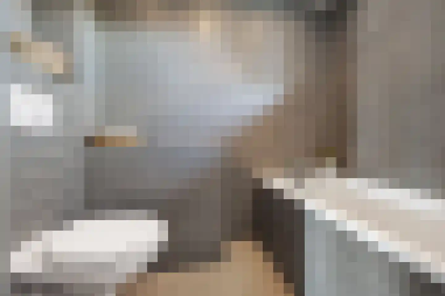 Dokter Wasmannstraat 8 Druten thumbnail 30