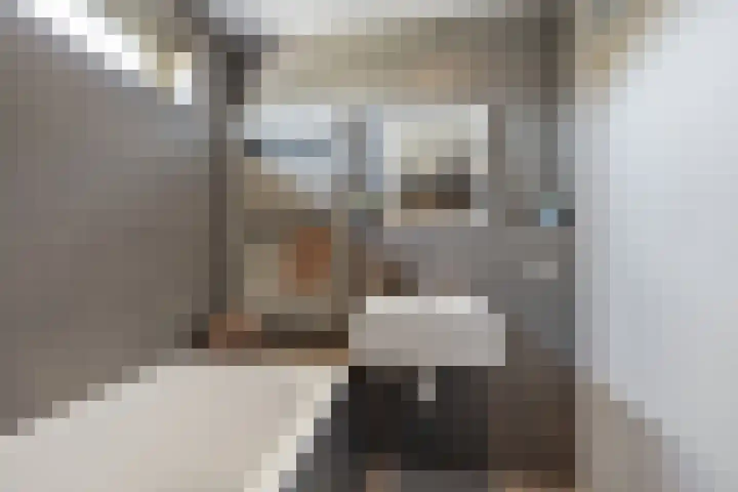 Dokter Wasmannstraat 8 Druten thumbnail 32