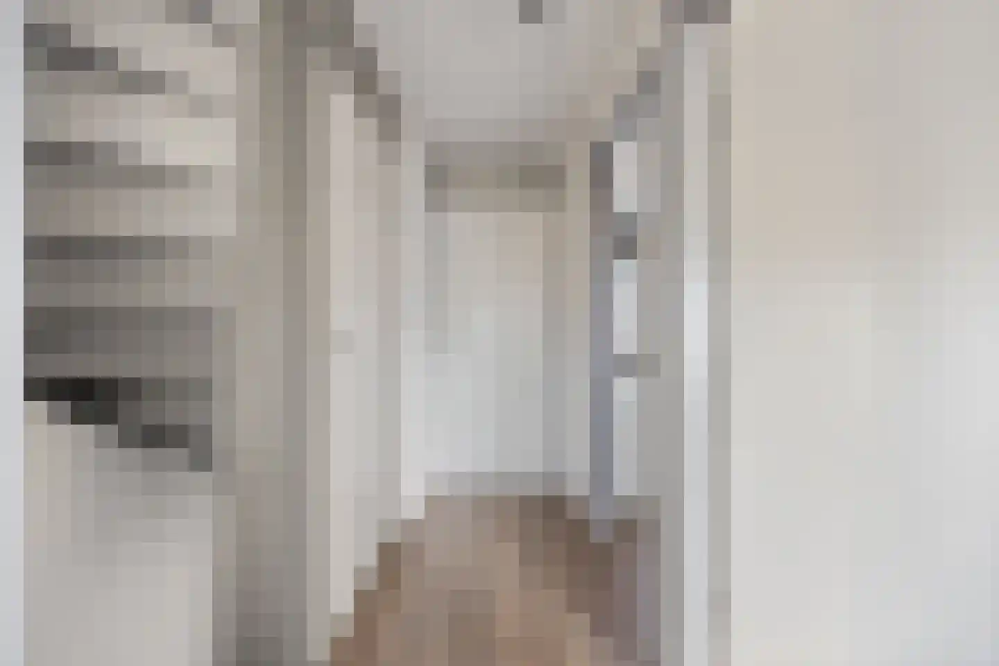 Dokter Wasmannstraat 8 Druten thumbnail 33