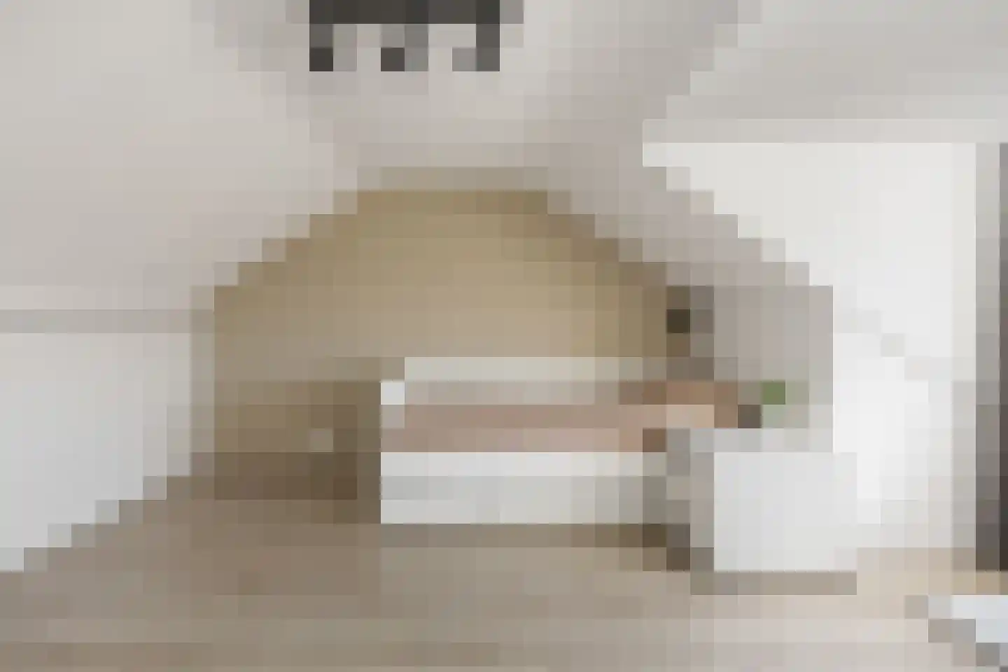 Dokter Wasmannstraat 8 Druten thumbnail 34