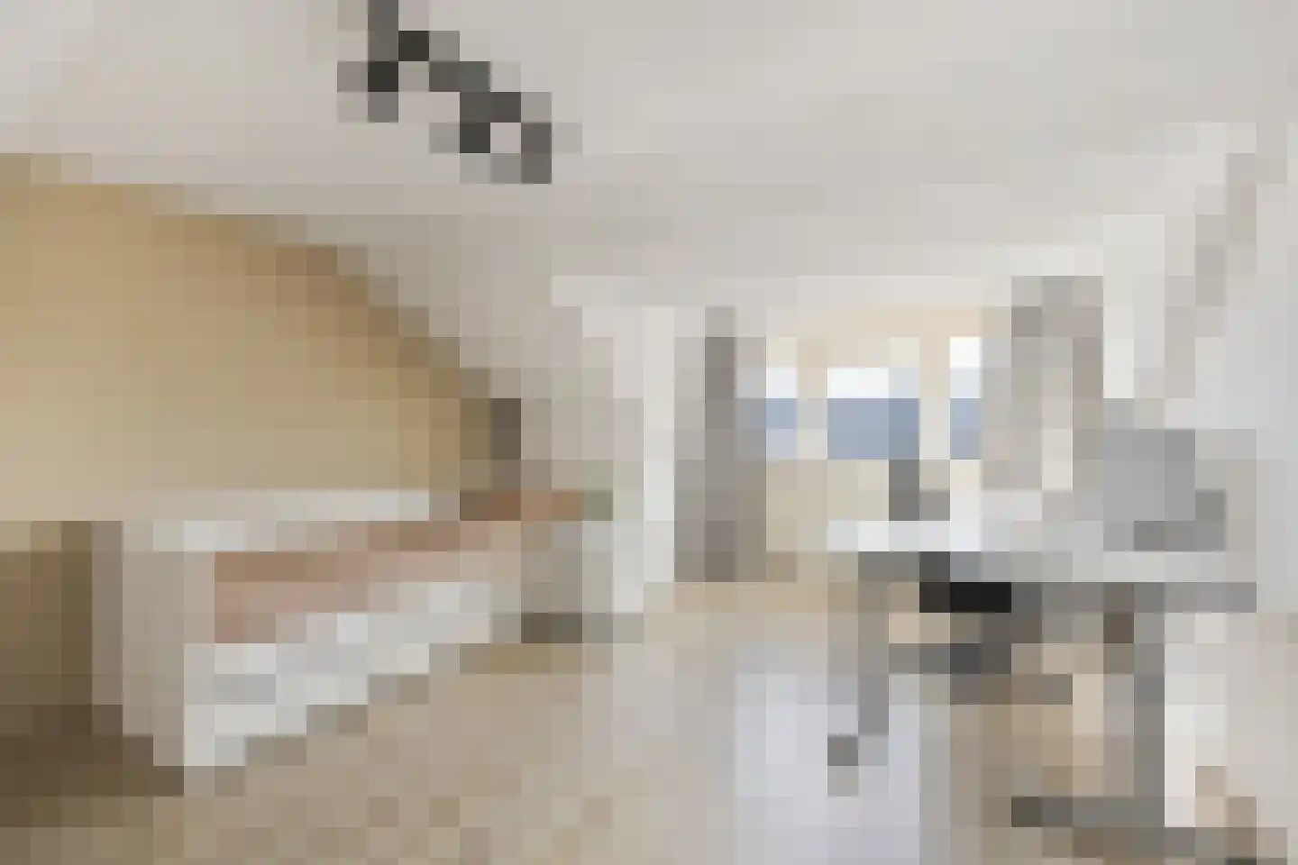 Dokter Wasmannstraat 8 Druten thumbnail 35