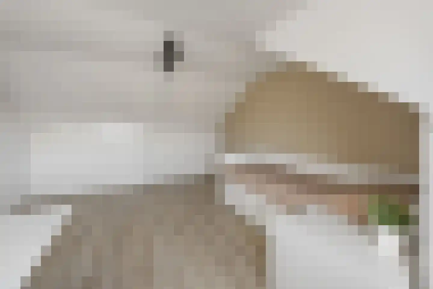 Dokter Wasmannstraat 8 Druten thumbnail 36