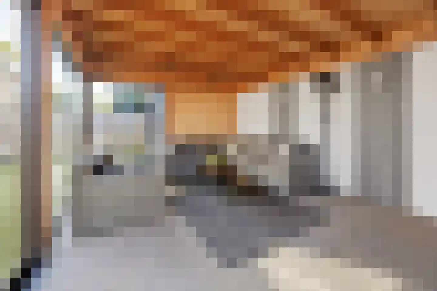 Dokter Wasmannstraat 8 Druten thumbnail 44
