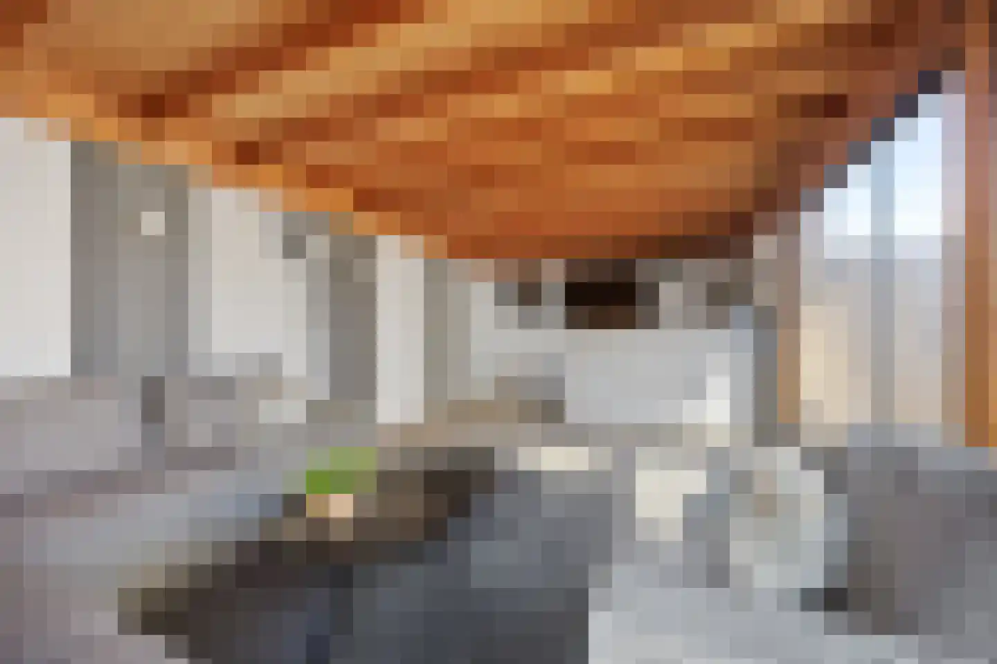 Dokter Wasmannstraat 8 Druten thumbnail 45