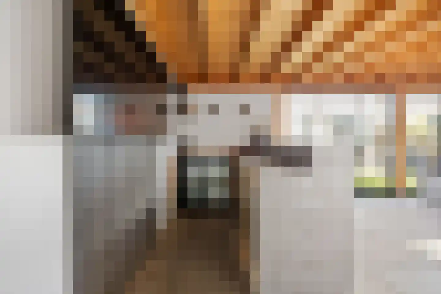 Dokter Wasmannstraat 8 Druten thumbnail 46