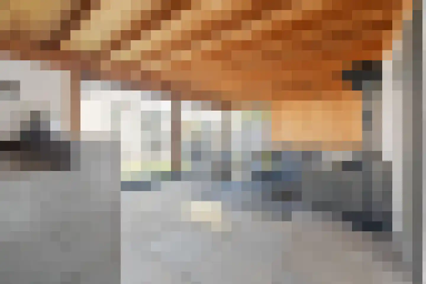Dokter Wasmannstraat 8 Druten thumbnail 47