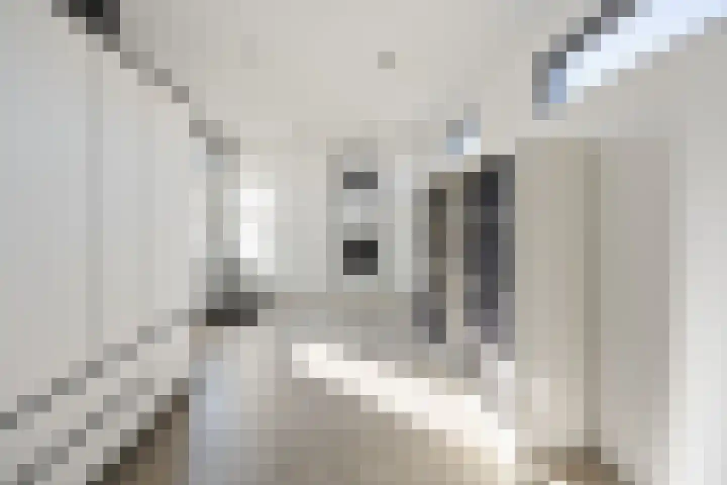 Dokter Wasmannstraat 8 Druten thumbnail 50