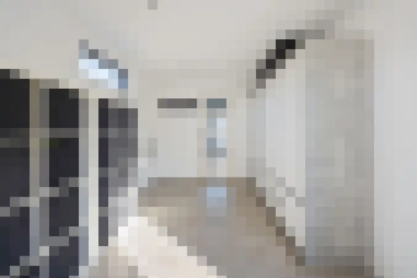 Dokter Wasmannstraat 8 Druten thumbnail 51